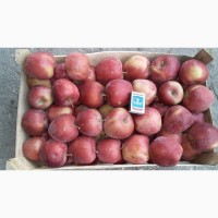 Продам яблоки оптом от производителя, Крым
