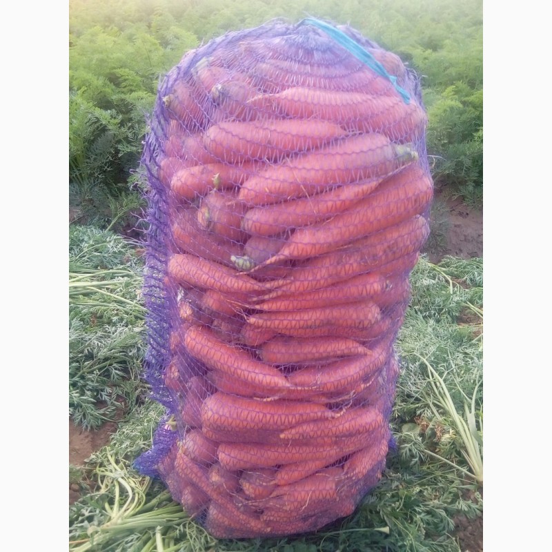 Морковь оптом от крупного производителя Иркутской области
