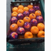 Продажа мандаринов (Турция)