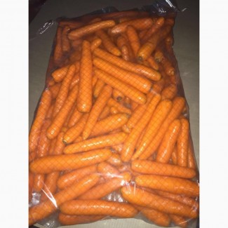 Продаем морковь 1-2сорт оптом