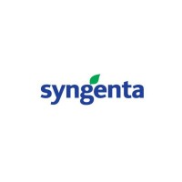 Syngenta гибрид подсолнечника