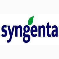 Syngenta семена гибрида подсолнечника