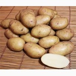 Магазин семенного картофеля. Оптовые и розничные поставки семя картофеля