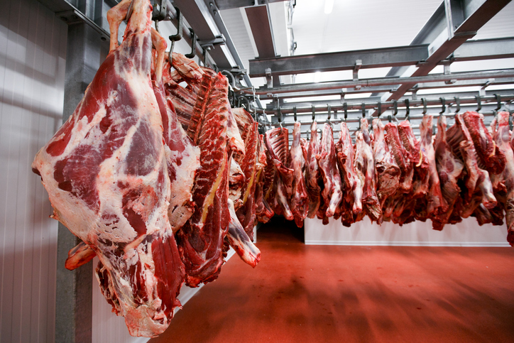 Фото 5. КРС мясо на экспорт-баранина, телятина, говядина на Мусульманские страны