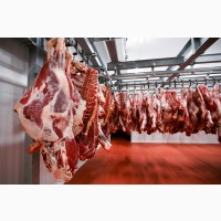 КРС мясо на экспорт-баранина, телятина, говядина на Мусульманские страны