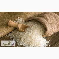 Продам рис кубанский (ГОСТ, ТУ). Производитель