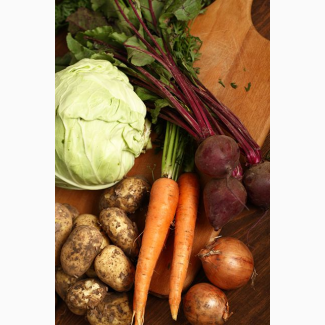 Картофель, морковь, свекла, капуста, зерновые