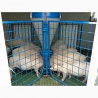 Модульные мини-фермы для откорма свиней в наличии и на заказ