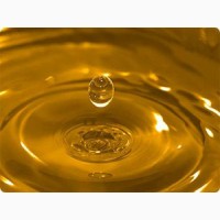 Продам масло подсолнечное а так же продукты маслоэкстракционного производства(жмых шрот)