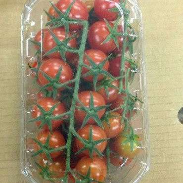 Фото 2. Предлагаю свежий томат (Марокко)