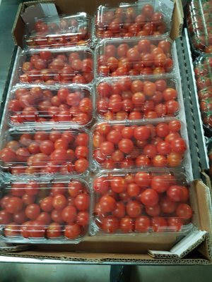Фото 6. Предлагаю свежий томат (Марокко)