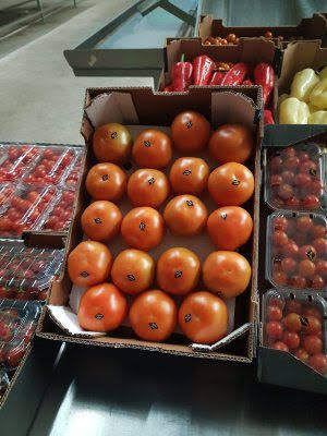 Фото 7. Предлагаю свежий томат (Марокко)