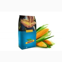 ДКС 3939 семена гибридов кукурузы (Monsanto) ФАО 320
