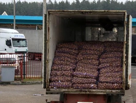 Фото 4. Картофель оптом в Красноярске с доставкой до вашего склада