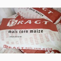 Семена кукурузы Микси (RAGT)